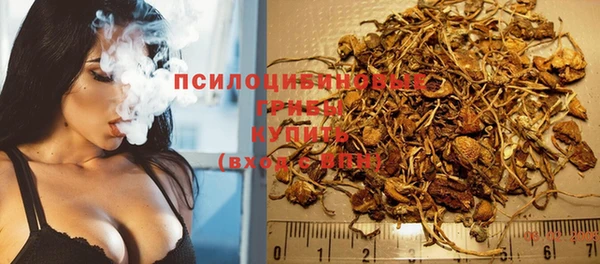 гидропоника Нязепетровск
