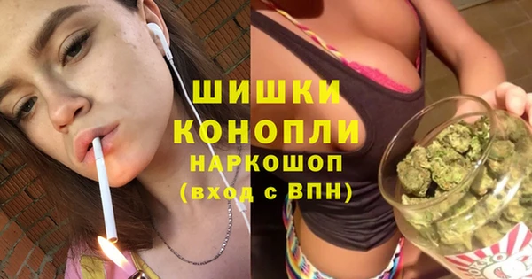 гидропоника Нязепетровск