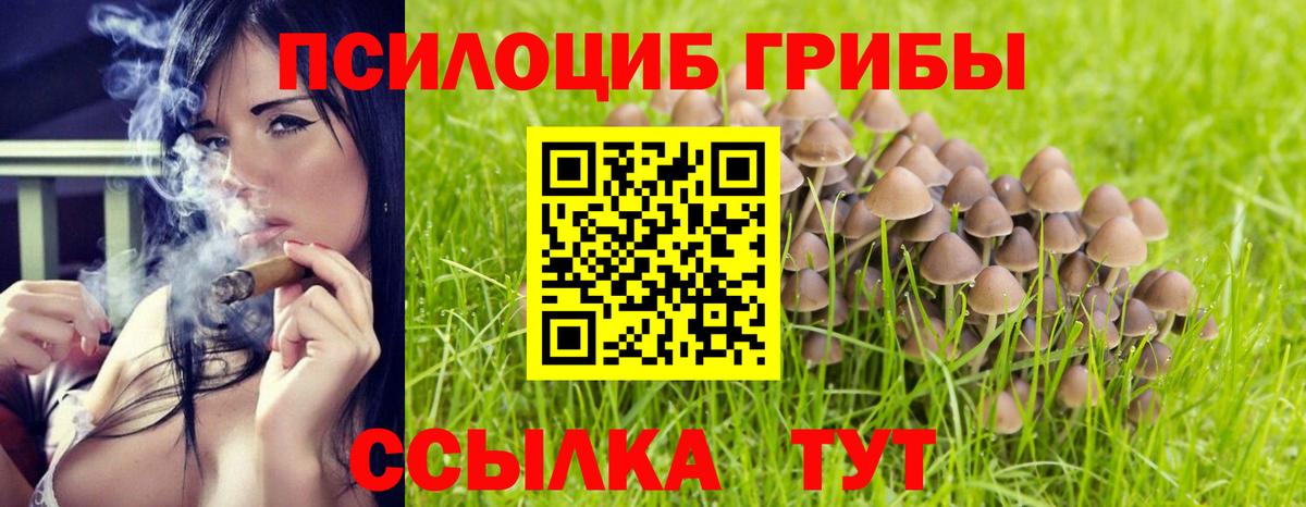 Псилоцибиновые грибы GOLDEN TEACHER Сальск